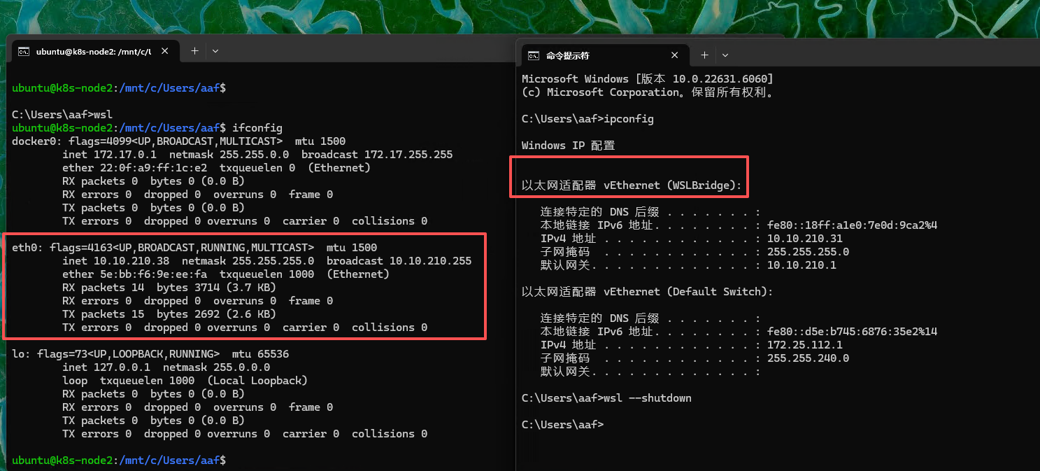 image-20251223164429834